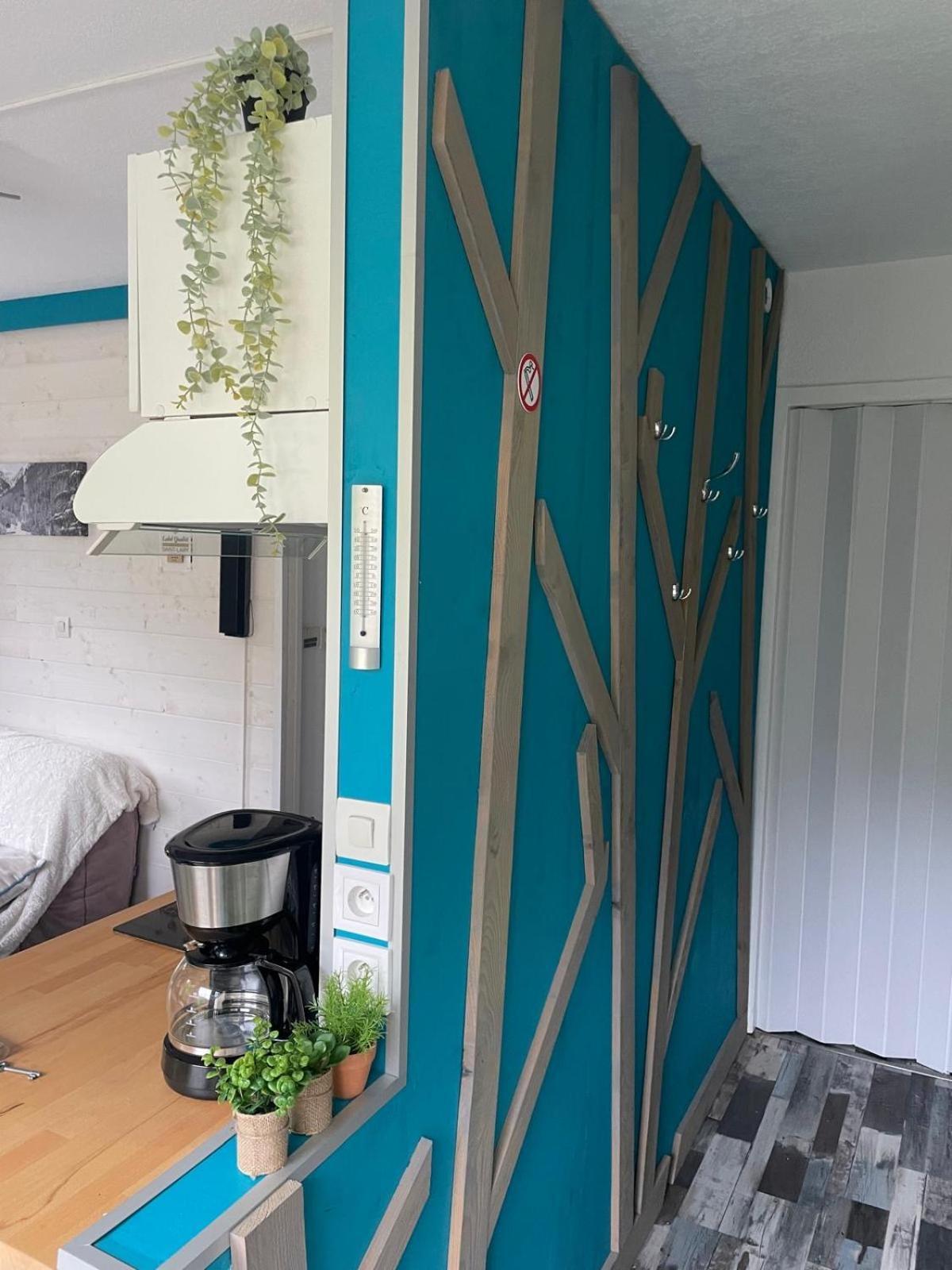 Appartement Confortable Labellise Saint Lary Vignec エクステリア 写真