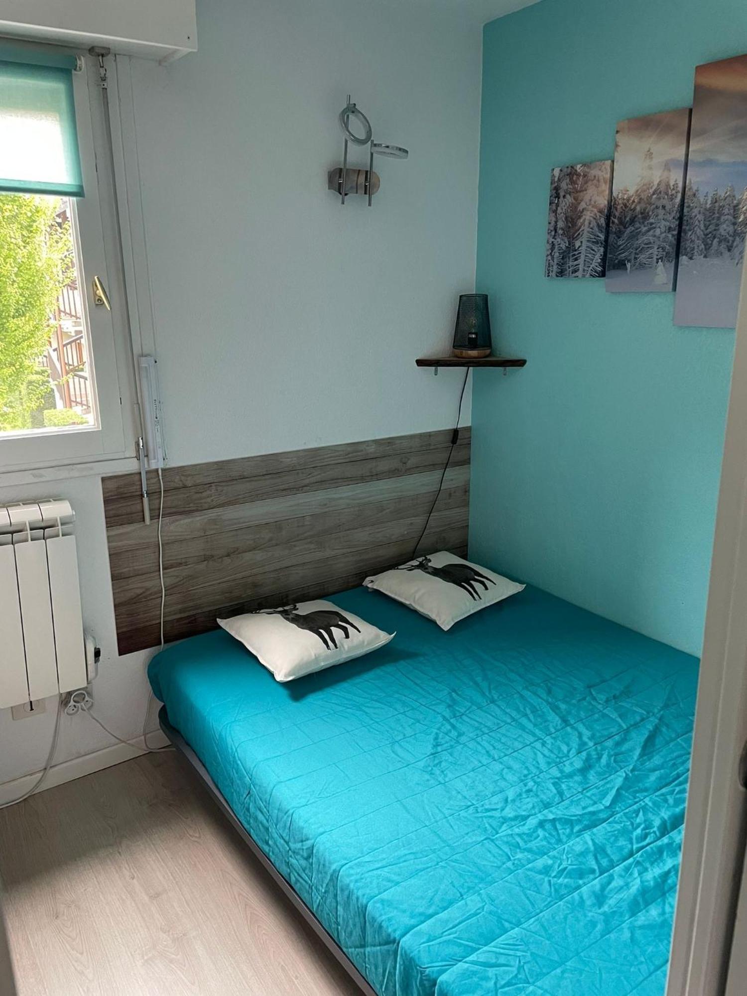 Appartement Confortable Labellise Saint Lary Vignec エクステリア 写真